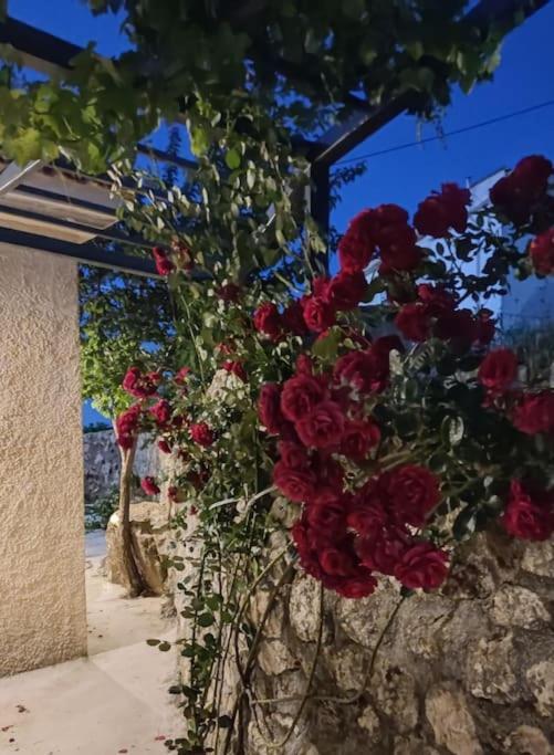 Villa Aiolia Kondoyenádha Exteriör bild